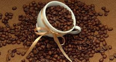 Bạn biết gì về cà phê nguyên hạt