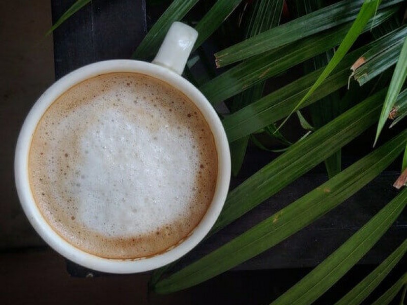 Sữa Frothed Là Gì?